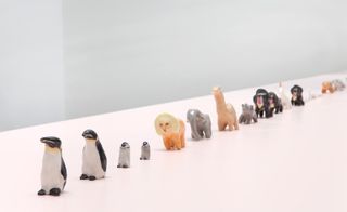 A line of porcelain animal figurines such as cheetahs, tigers, dinosaurs, penguins, unicorns, and a few stoneware baboons.