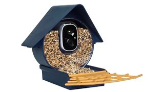 Birdkiss Smart Solar Feeder Camera