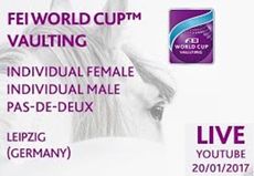 FEI-live-vaulting-leipzig.jpg
