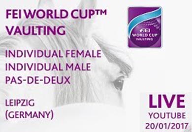 FEI-live-vaulting-leipzig.jpg
