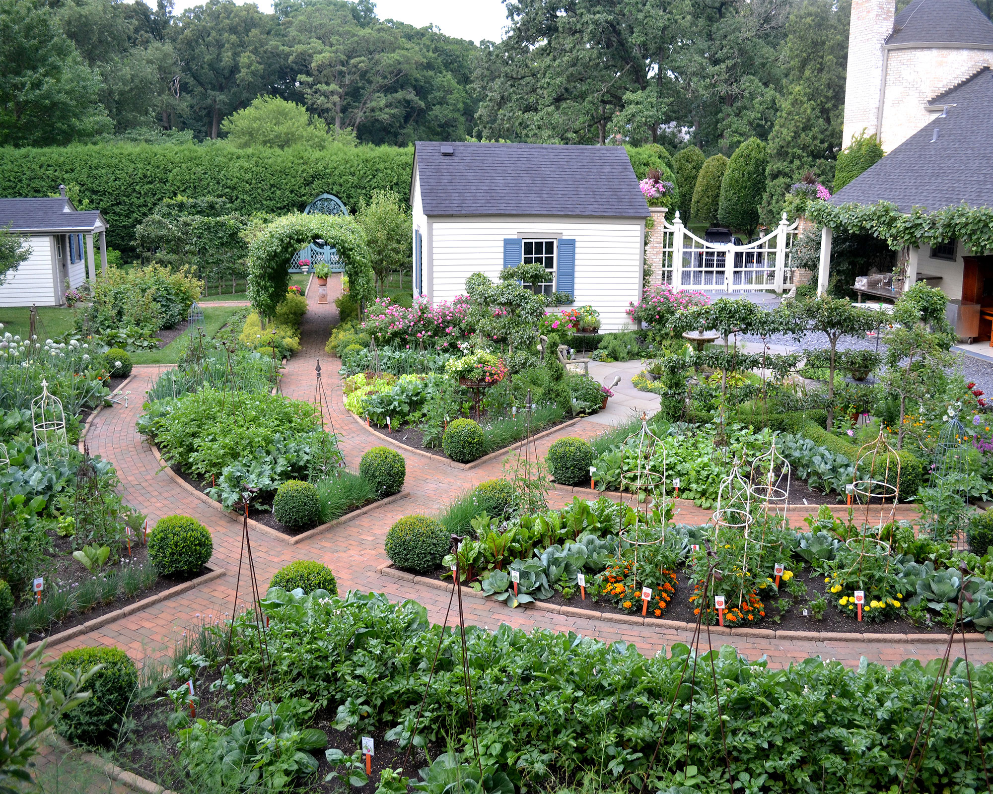 front yard designed as a traditional potager garden for growing fruit and vegetables