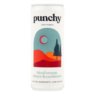 Punchy bitters, non-alcoholic drink in a can