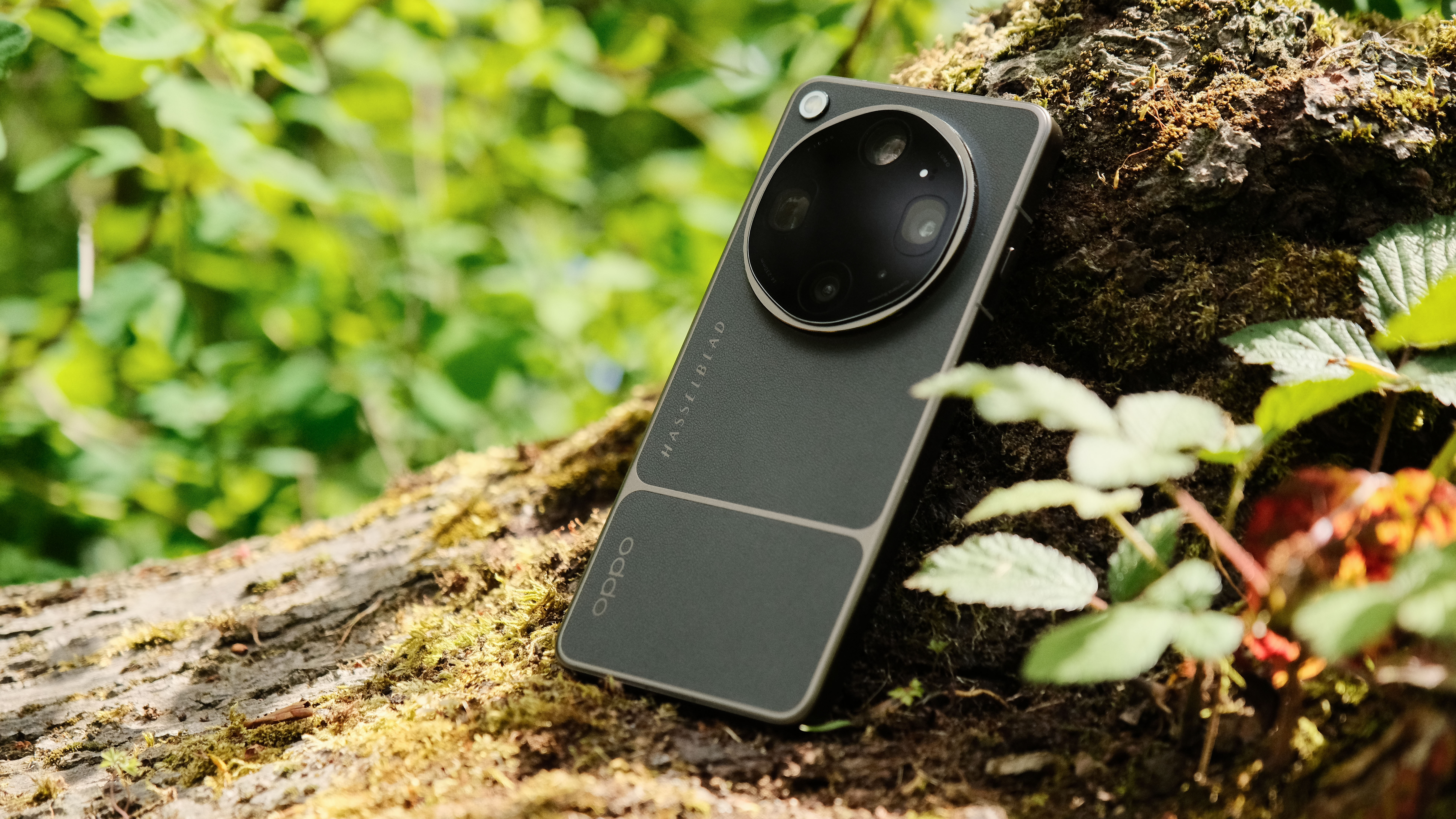 Oppo Find X9 Ultra standing on mossy wood in a forest setting