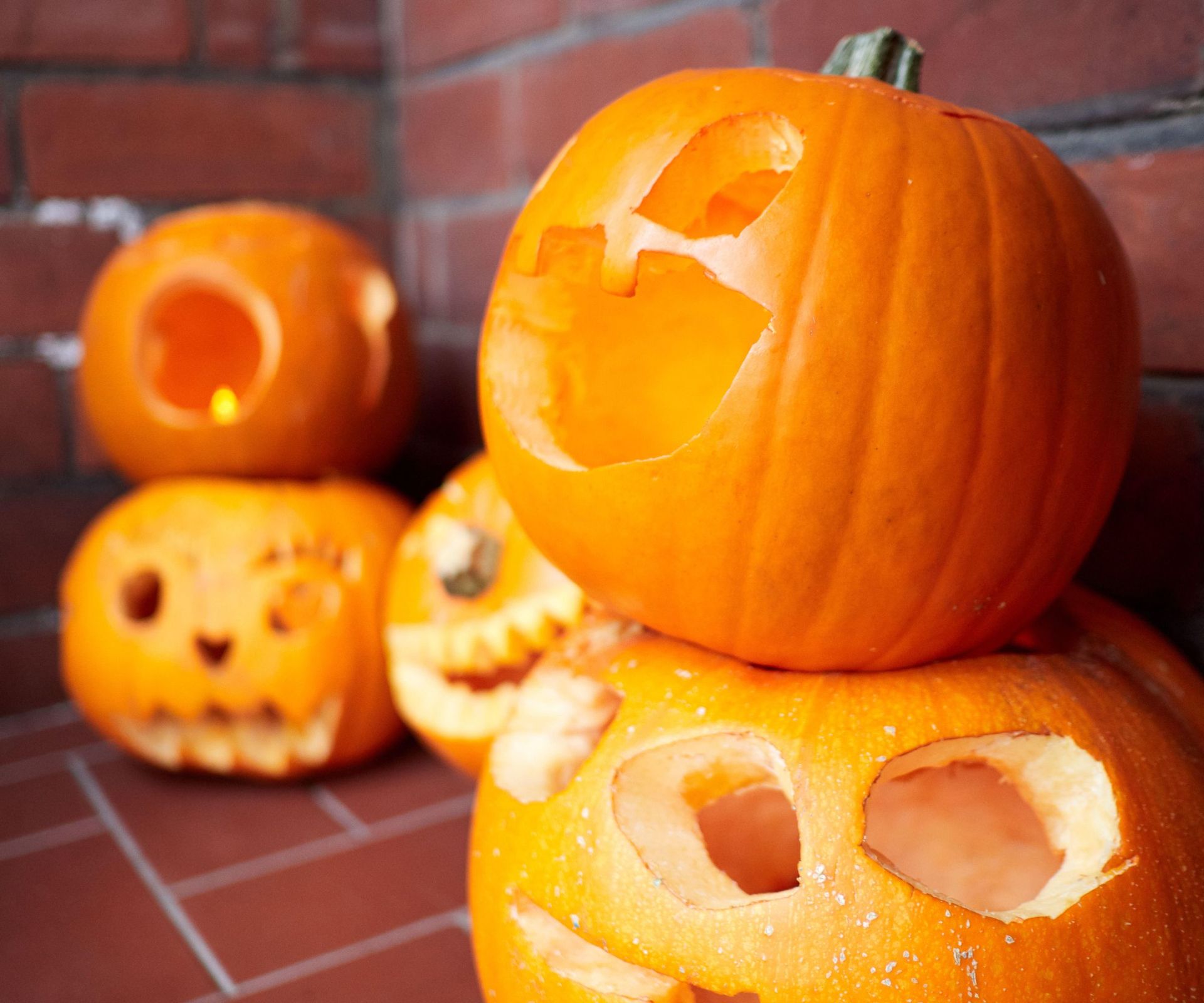 how-does-vinegar-prevent-pumpkins-from-rotting-experts-reveal-all