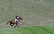 Horse_Barbury15pn_266772.jpg