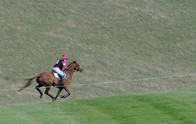 Horse_Barbury15pn_266772.jpg