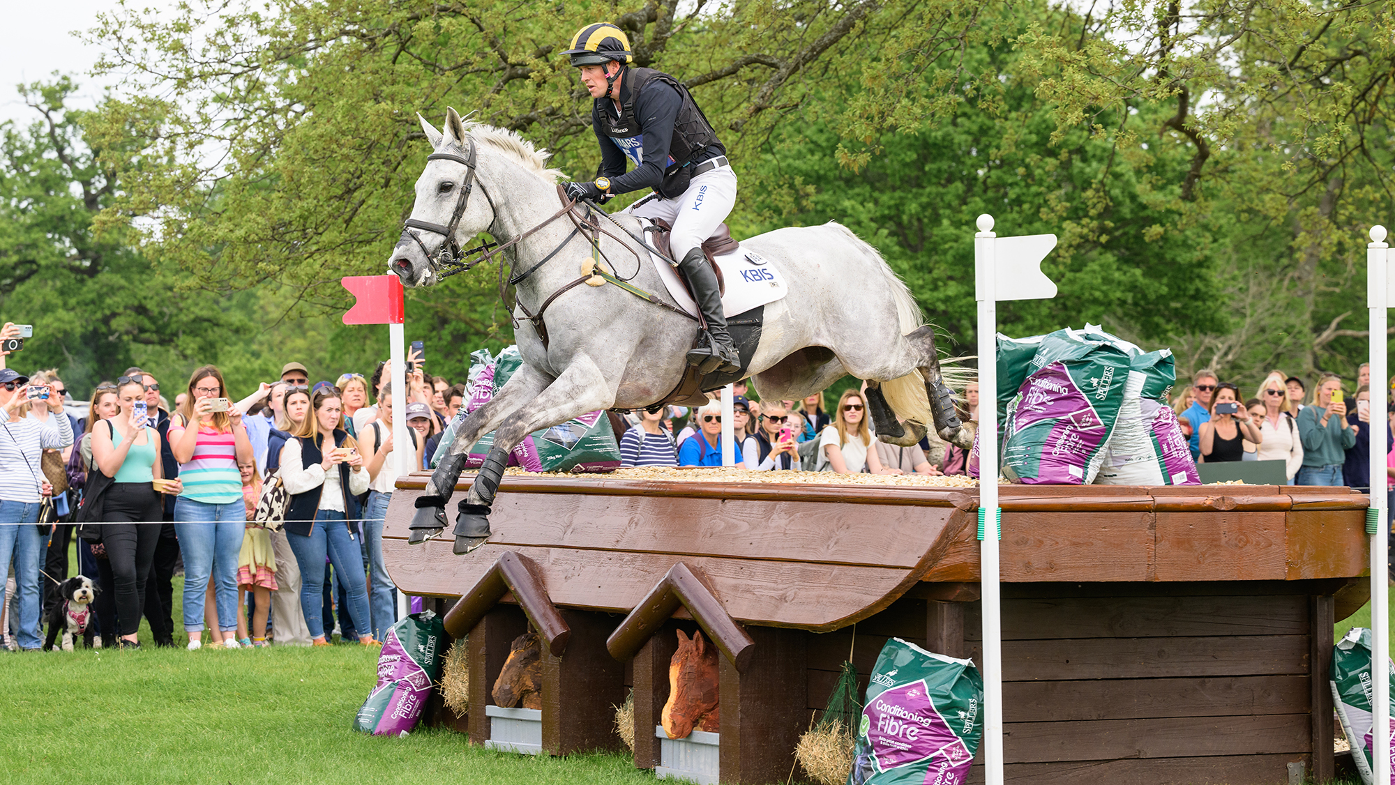 Tom Rowland and Dreamliner jump a cross-country fence at Badminton Horse Trials 2026.