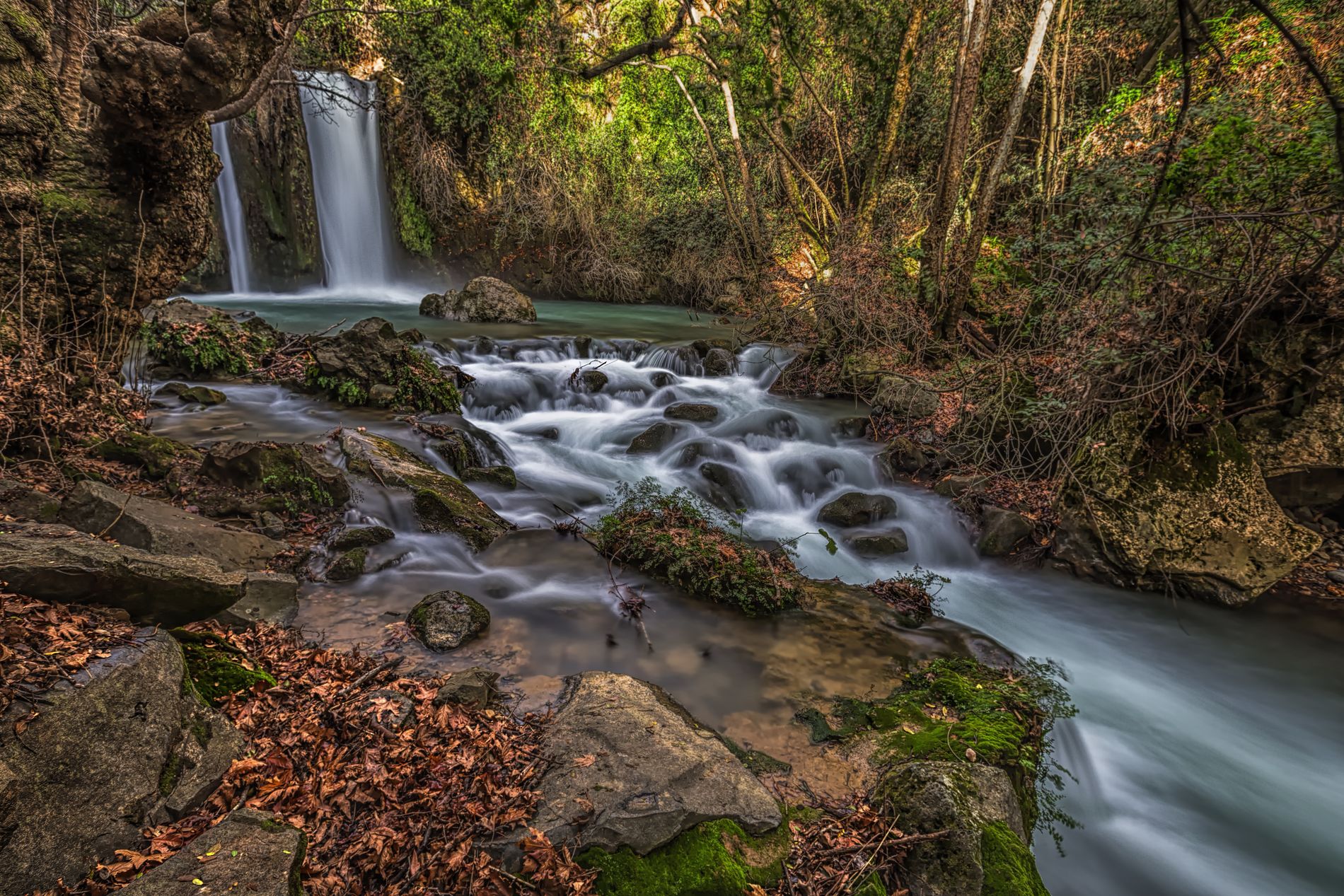 GuruShots - Nature&amp;rsquo;s Masterpiece 2026