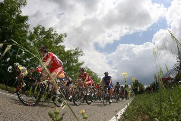 The peloton passes wild flowers