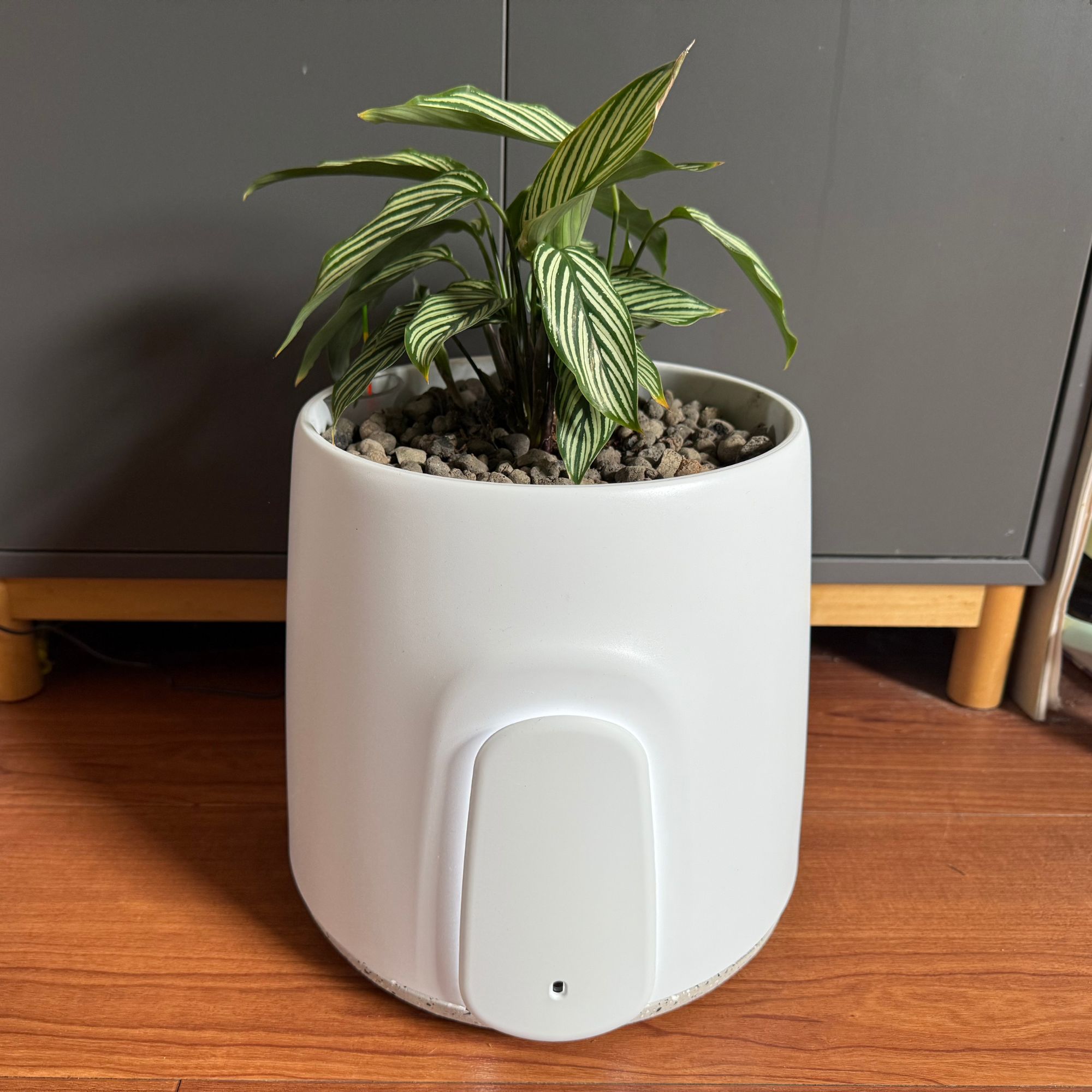 Vitesy Natede Smart air purifier with a plant in it, on wooden flooring in front of a grey cabinet