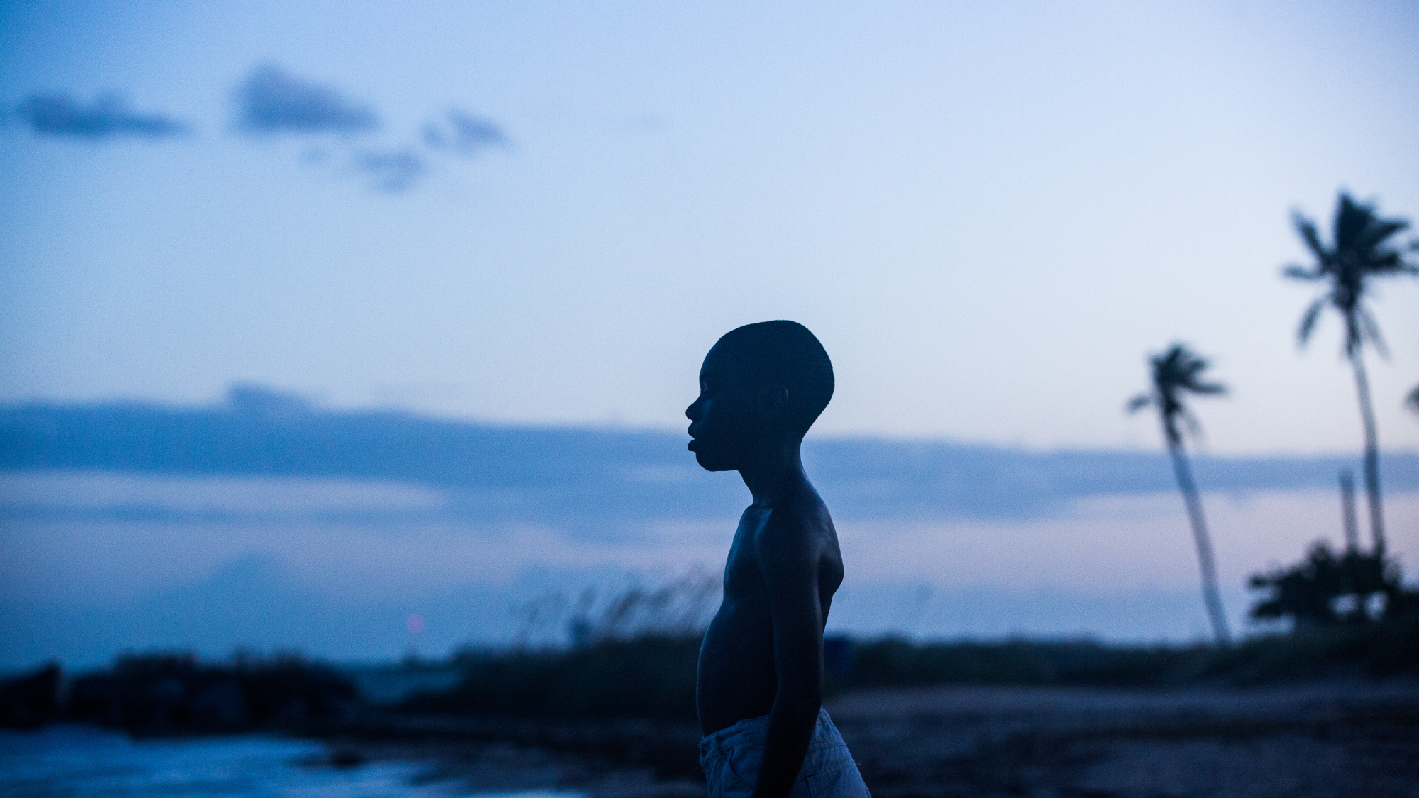 A young boy is silhouetted against the dark blue sky on the beach with palm trees in view.