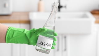 Female hand holding a bottle of vinegar