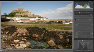 Low-tide landscapes