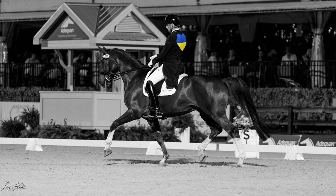 Frederic Wandres riding in the Palm Beach Derby