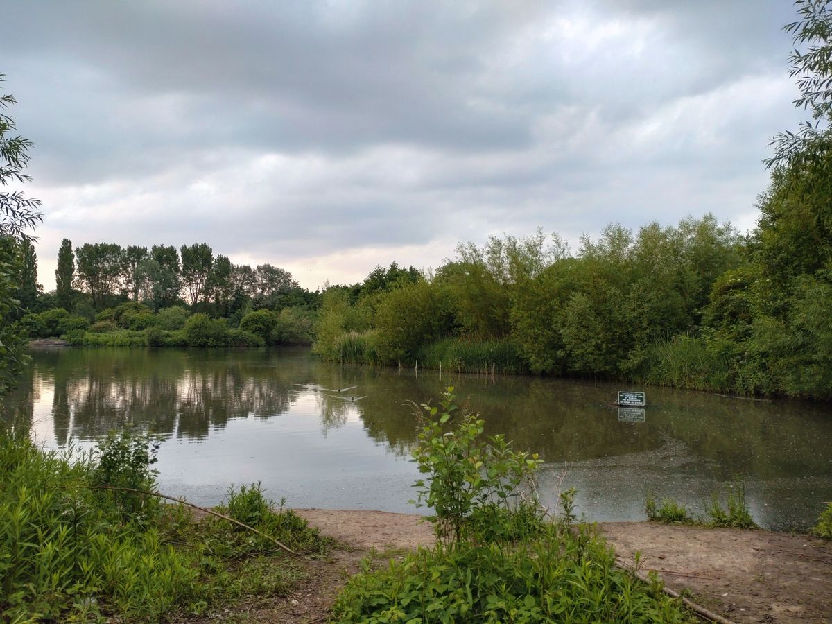 A lake shot on the Xperia 10 III