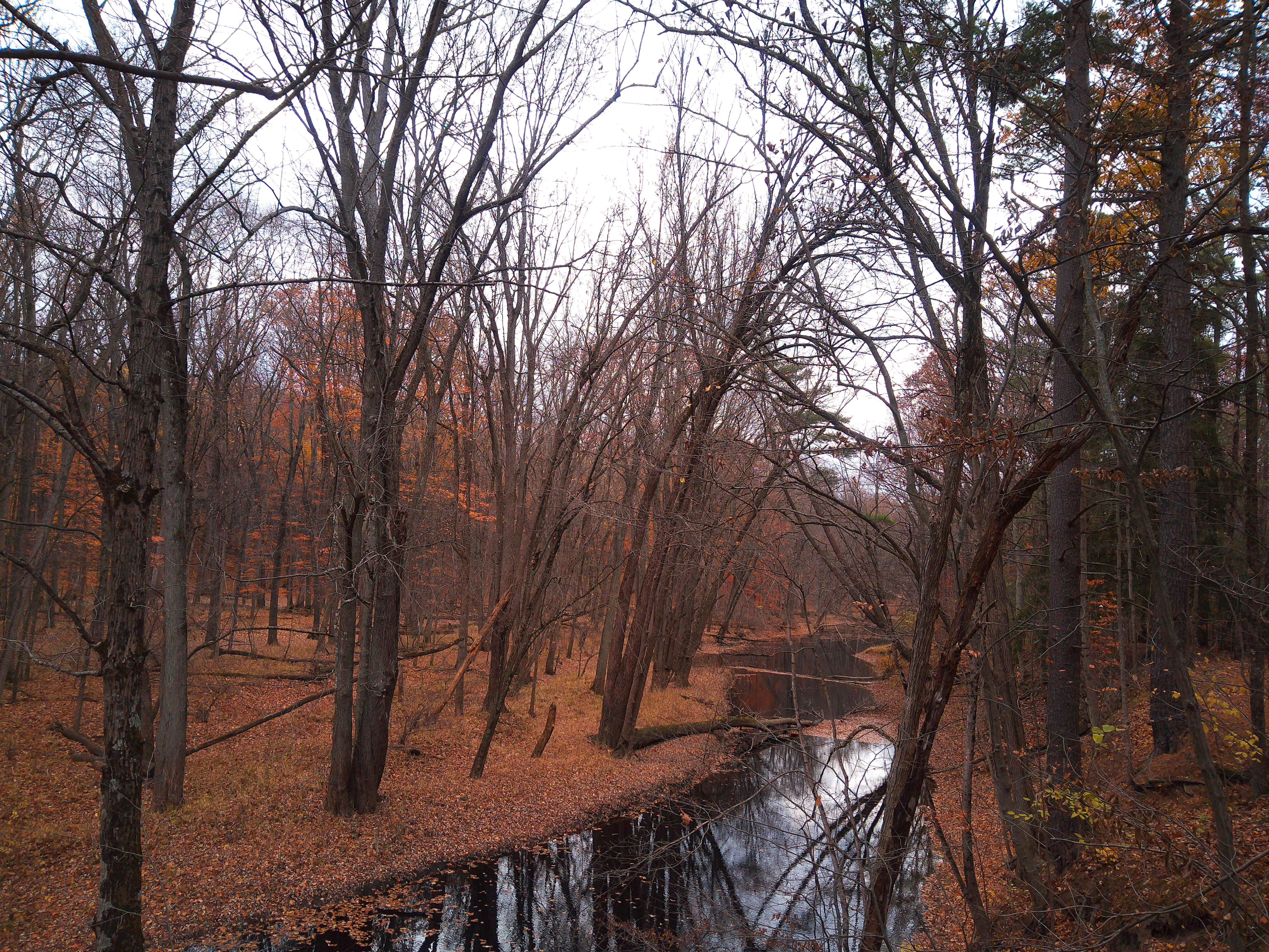 A sample image taken with the Camp Snap CS-Pro