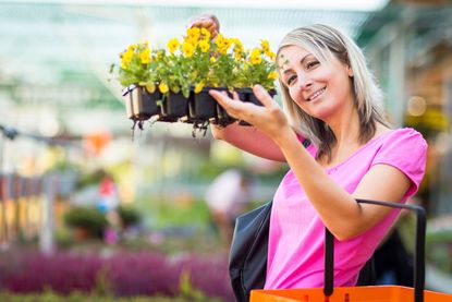 Woman Holding Several Yellow Flowers In Containers