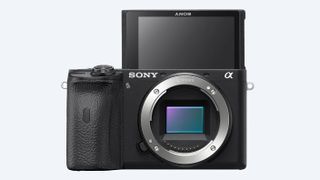 Sony A6600 review