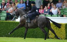 side-saddle-GYS.jpg