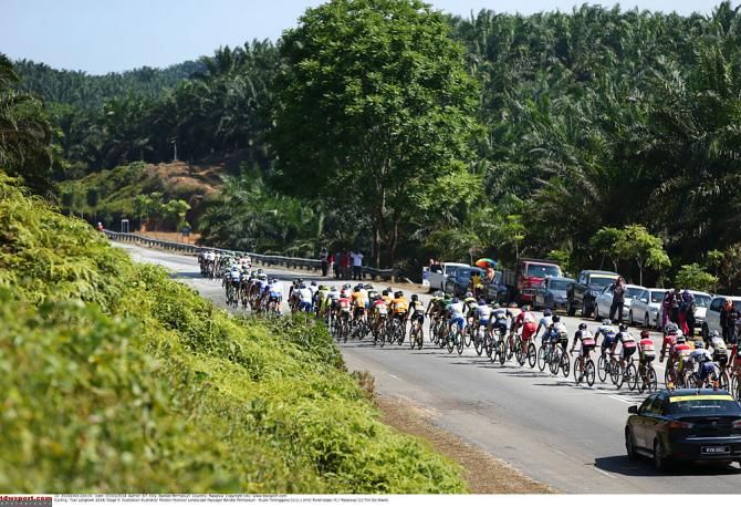 The peloton