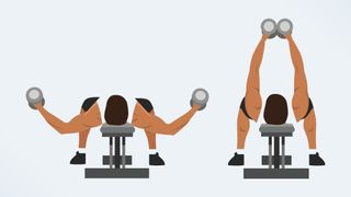 an illustration of a man doing a dumbbell fly