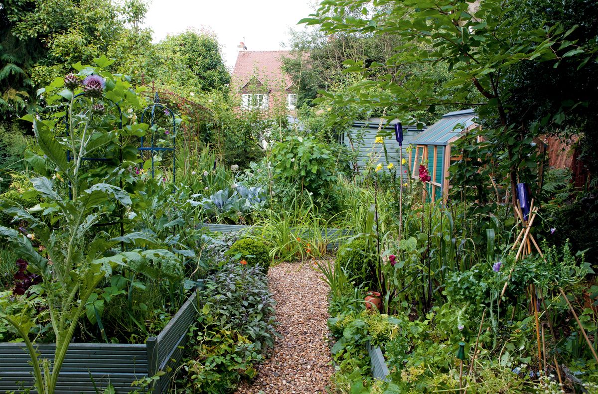 Part 2: How to Design Your Own Miniature Fruit Garden - Abundant Mini  Gardens