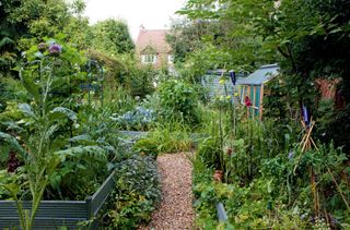 organic vegetable garden
