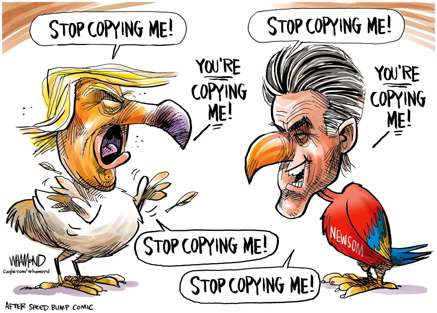 This cartoon depicts Donald Trump and Gavin Newson as parrots. Trump looks angry and Newsom looks satisfied. They speak back and forth, &amp;ldquo;Stop copying me!&amp;rdquo; &amp;ldquo;Stop copying me!&amp;rdquo; &amp;ldquo;You&amp;rsquo;re Copying Me!&amp;rdquo; &amp;ldquo;You&amp;rsquo;re Copying Me!&amp;rdquo; &amp;ldquo;Stop copying me!&amp;rdquo; &amp;ldquo;Stop copying me!&amp;rdquo;