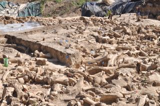 Archaeologists found bones belonging to mammoths, reindeer, horses, bears, wolves, red foxes and Arctic foxes at the site. 