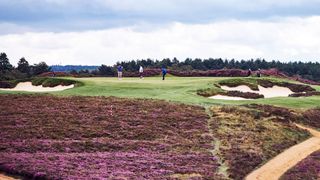 Hankley Common - Hole 7