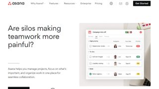 Asana website screenshot