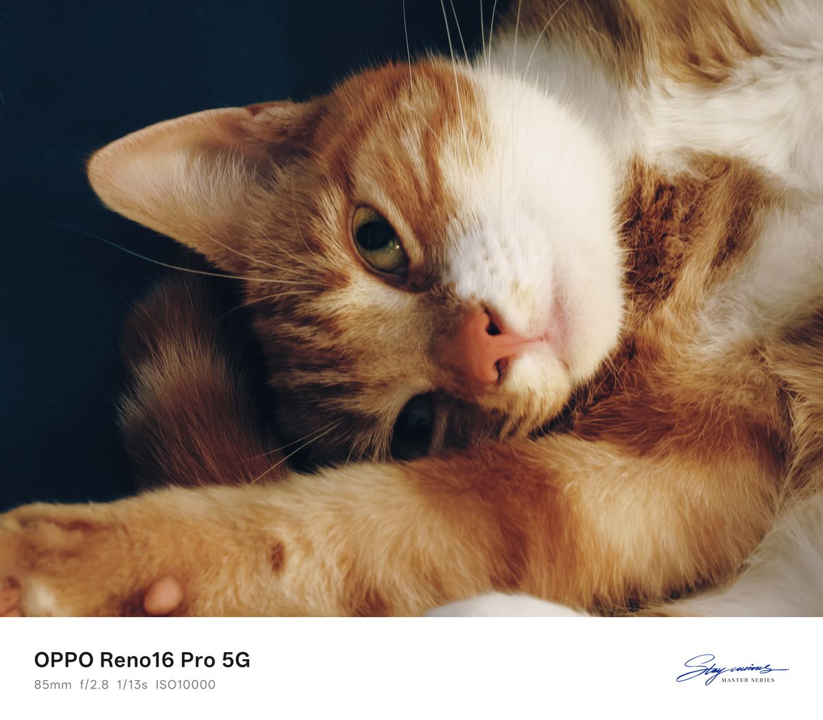 Oppo Reno 16 Pro sample photos