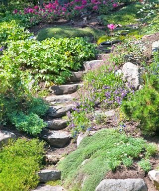 Rock garden steps