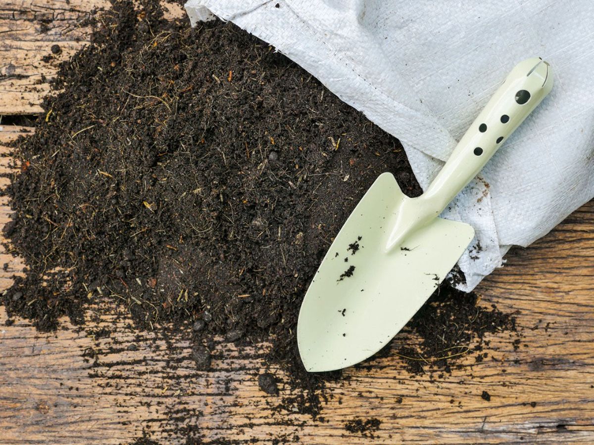 Topsoil Vs Potting Soil Best Soil For Containers And Garden