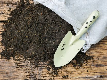 Small Gardening Shovel Next To Bag Of Soil
