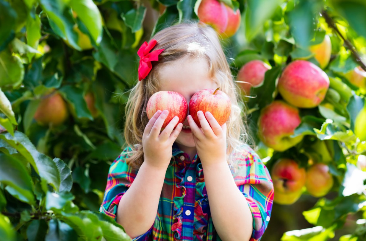 Girl picking fruit, one of the things to do with kids