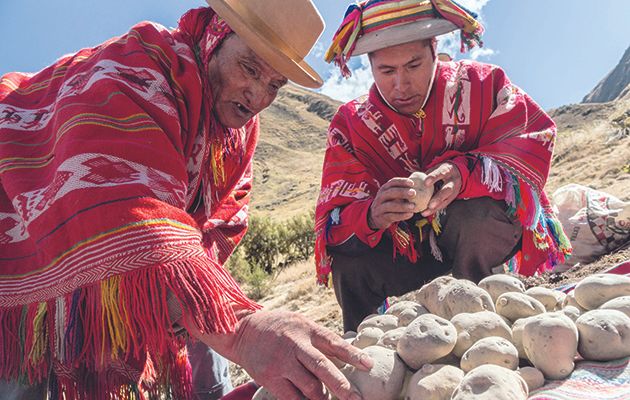 The second episode of Michael Mosley and James Wong’s globe-trotting series about the science of our food is all about taste.