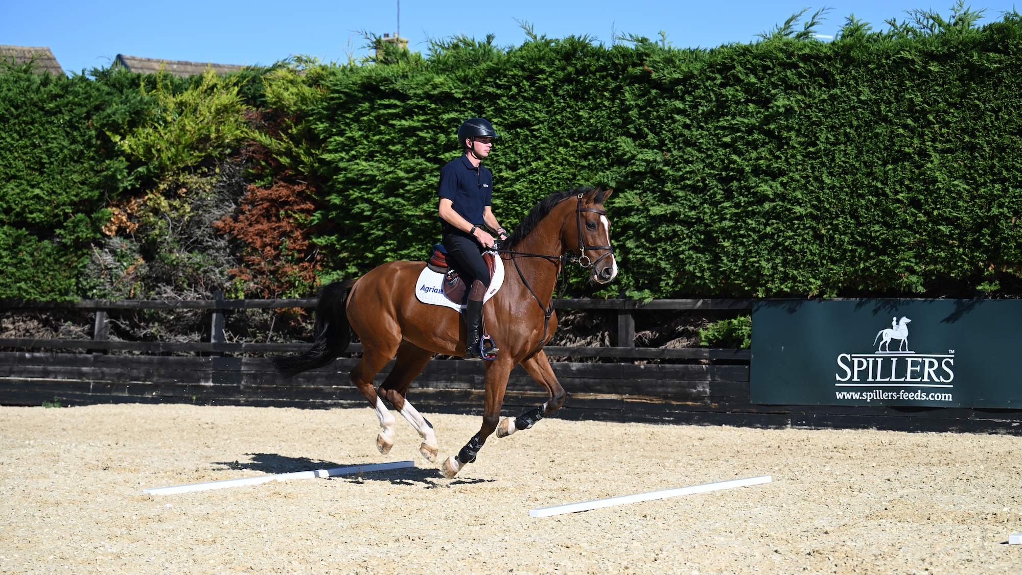Joe Stockdale cantering over poles