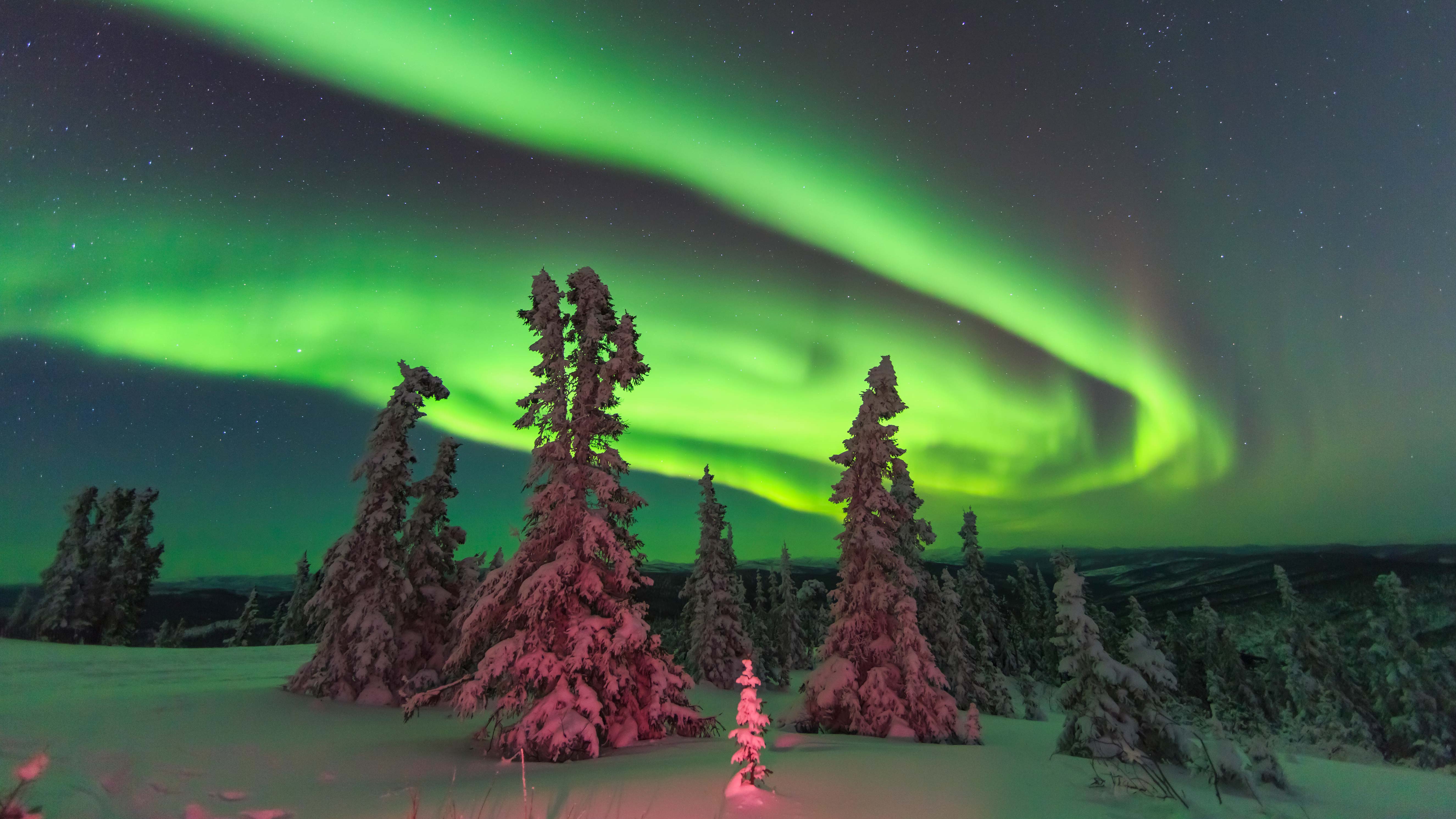 northern lights in alaska