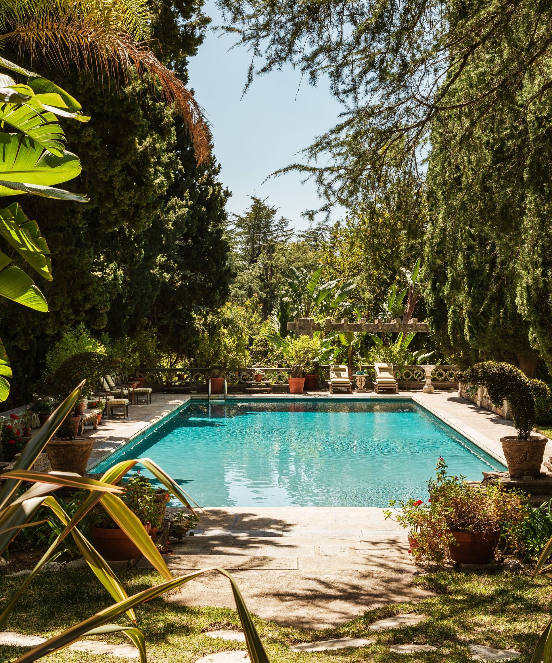 Dennis Morgan's pool