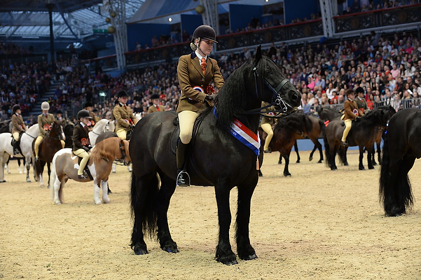 HorseNo7_Olympia14pn_58351