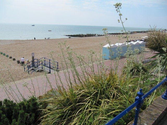 coastal plantings