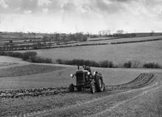 A farmer ploughs his field with a tractor in the only place where the medieval open field strip system was still in use. Each farmers land is divided into six or more patches, making husbandry difficult, however it does ensure that each has an equal share of good land. The fields can not be fencedand the sanctity of the boundaries is watched over by the Court Leet, composed of householders. (Photo by © Hulton-Deutsch Collection/CORBIS/Corbis via Getty Images)