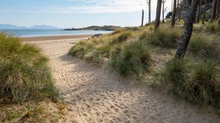 Sandy pathway down to the beach surrounded by trees