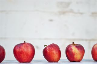 Apples of different sizes and shape against blank background.