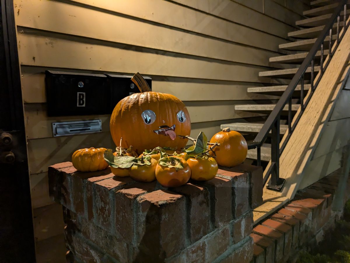 An assortment of pumpkins shot at night by the Pixel 8a