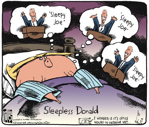 Political Cartoon U.S. Joe 2020 election Trump sleepless sleepy Joe