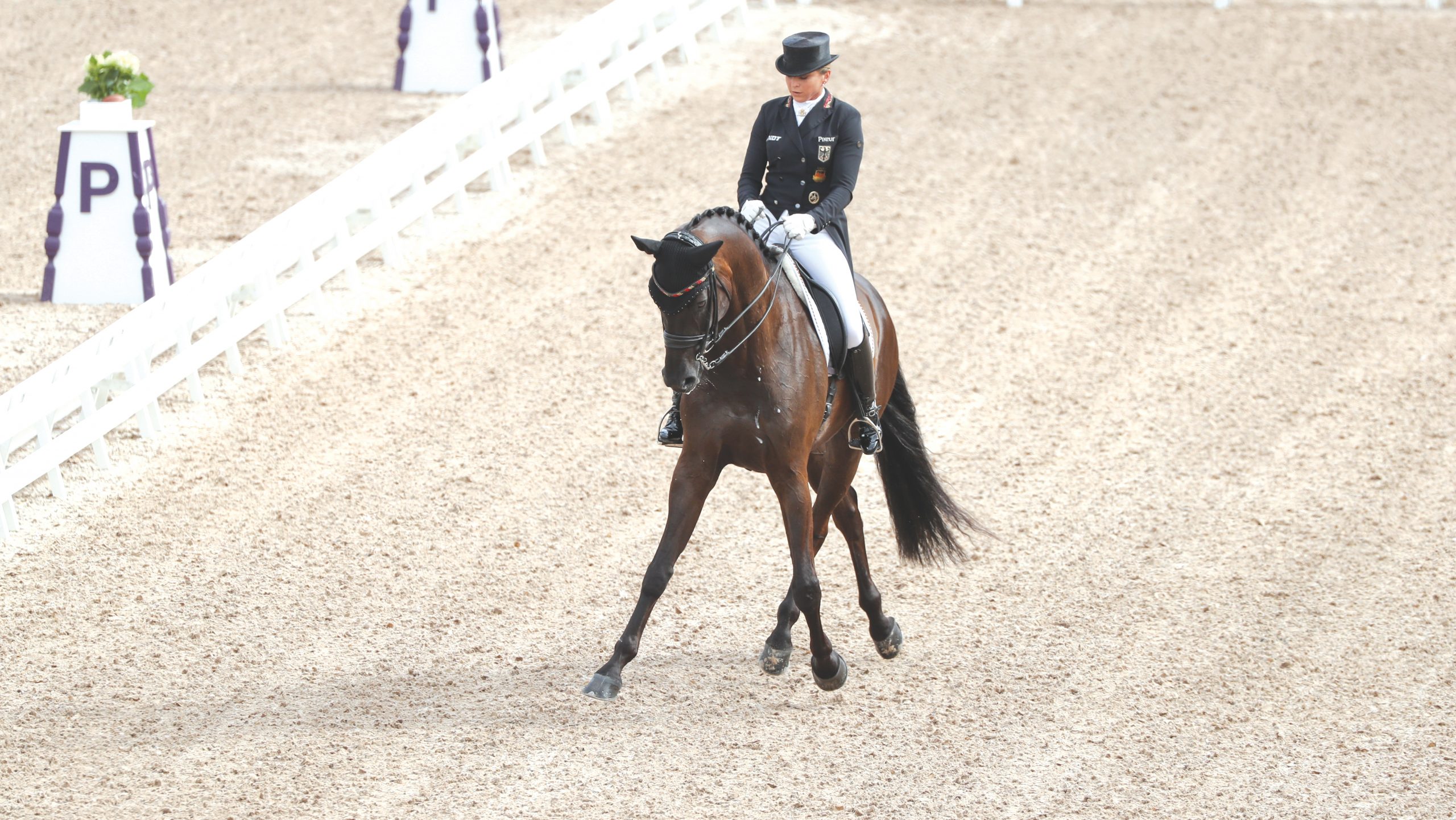 German dressage rider Dorothee Schneider and horse Sammy Davis in action during the freestyle dressage grand prix of the FEI&amp;Atilde;&amp;cent;&amp;Acirc;&amp;#128;&amp;Acirc; European Championships 2017 in Gothenburg, Sweden, 26 August 2017. Photo: Friso Gentsch/dpa