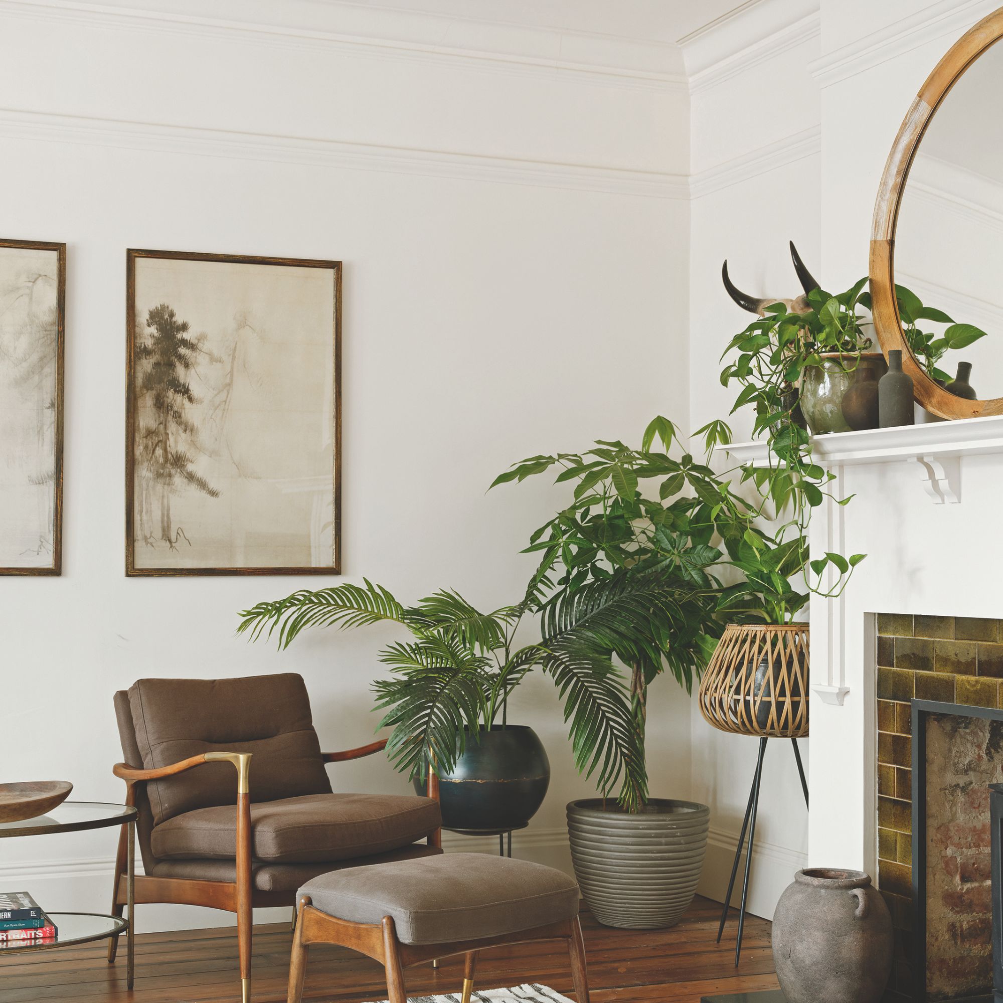 Sala de estar pintada blanca con muchas plantas, una silla de acento marrón con fisones a juego y arte en la pared detrás