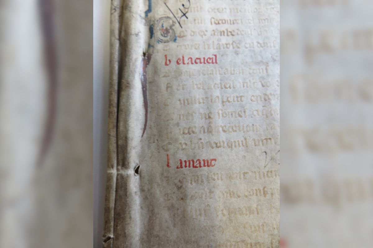 The words &quot;bel accueil&quot; on a parchment fragment tipped off medieval expert Marianne Ailes that this was a copy of the famous French poem &quot;La Roman de la Rose.&quot; 